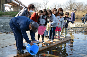 ​さけの稚魚放流 サムネイル