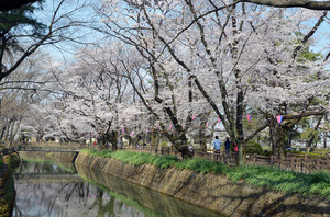 城之内公園 サムネイル