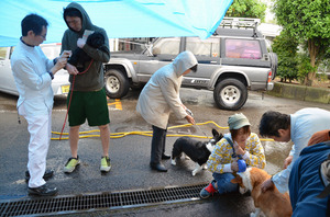 春の狂犬病予防注射 サムネイル