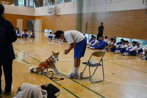 聴導犬に触れ、知るスクールin大泉 サムネイル