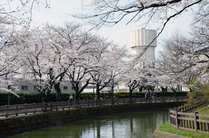 城之内公園 サムネイル