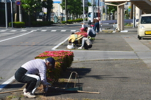 春の道路愛護運動 サムネイル