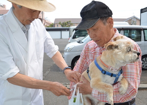 春の狂犬病予防注射 サムネイル