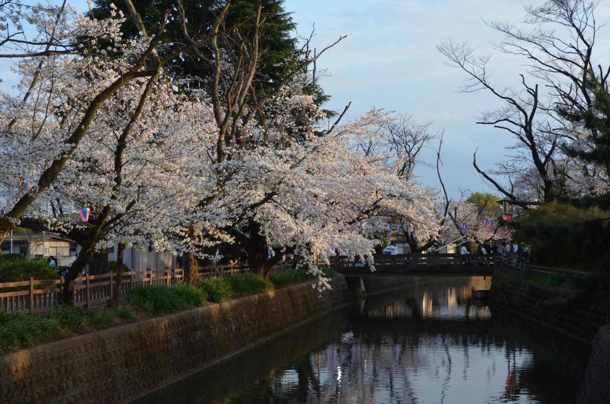 城之内公園