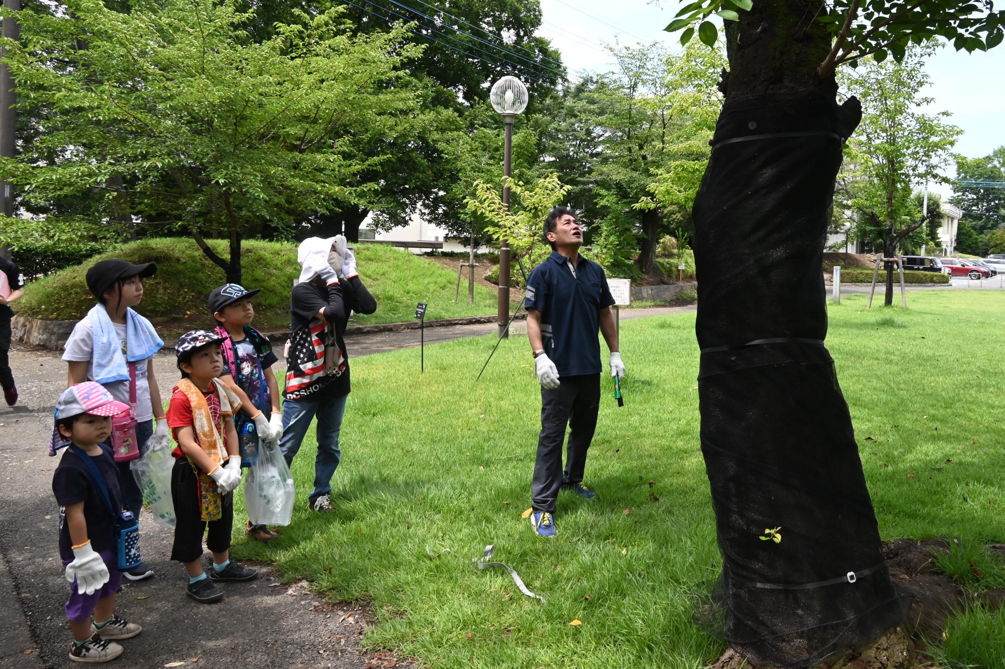 参加者と村山町長がクビアカツヤカミキリを探す様子