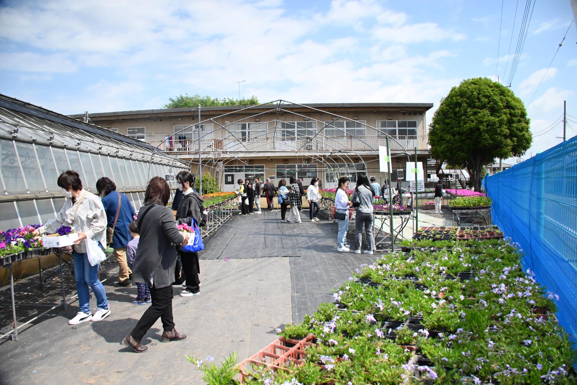 花苗・寄せ植えの販売