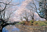 城之内公園を東南から撮影した写真