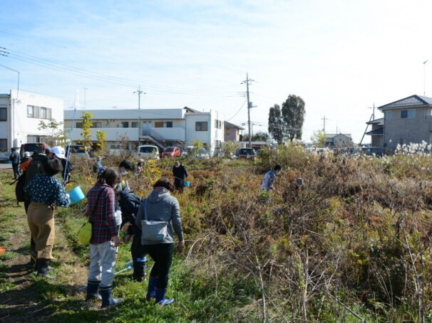 秋の自然観察会