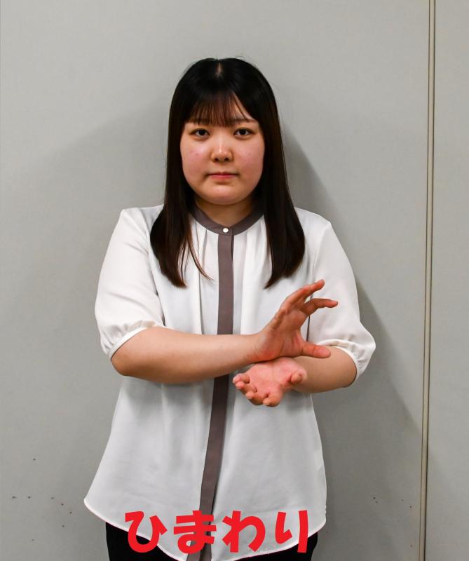 ひまわり1