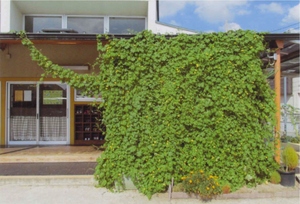 銀賞坂田保育園