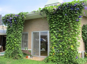 銅賞みよし保育園