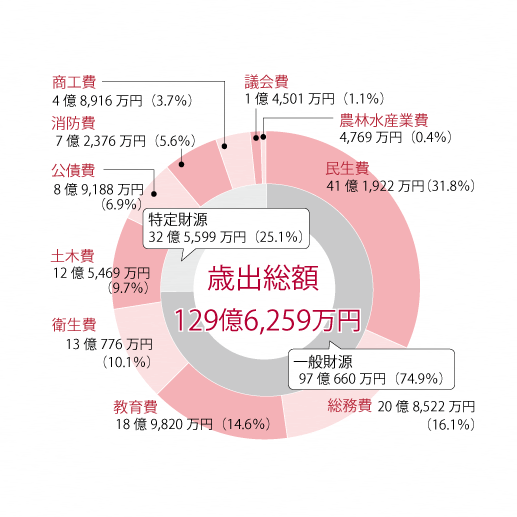 平成30年度歳出総額グラフ