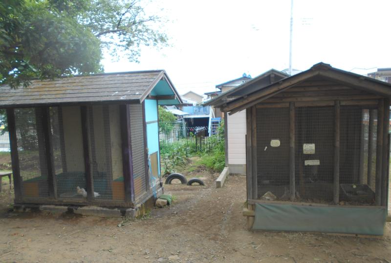 西保育園動物小屋の写真