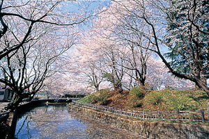 小泉城跡の画像