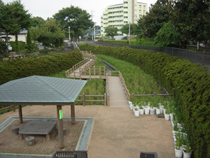 分水掘緑道の画像