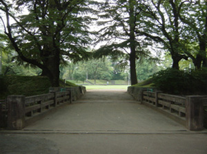 本丸跡へと続く大手橋の画像