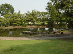 公園内にある池の画像